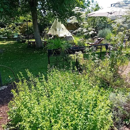 Indian Tent Tipi In Shared Lot And Shared Bathroom Mrse المظهر الخارجي الصورة