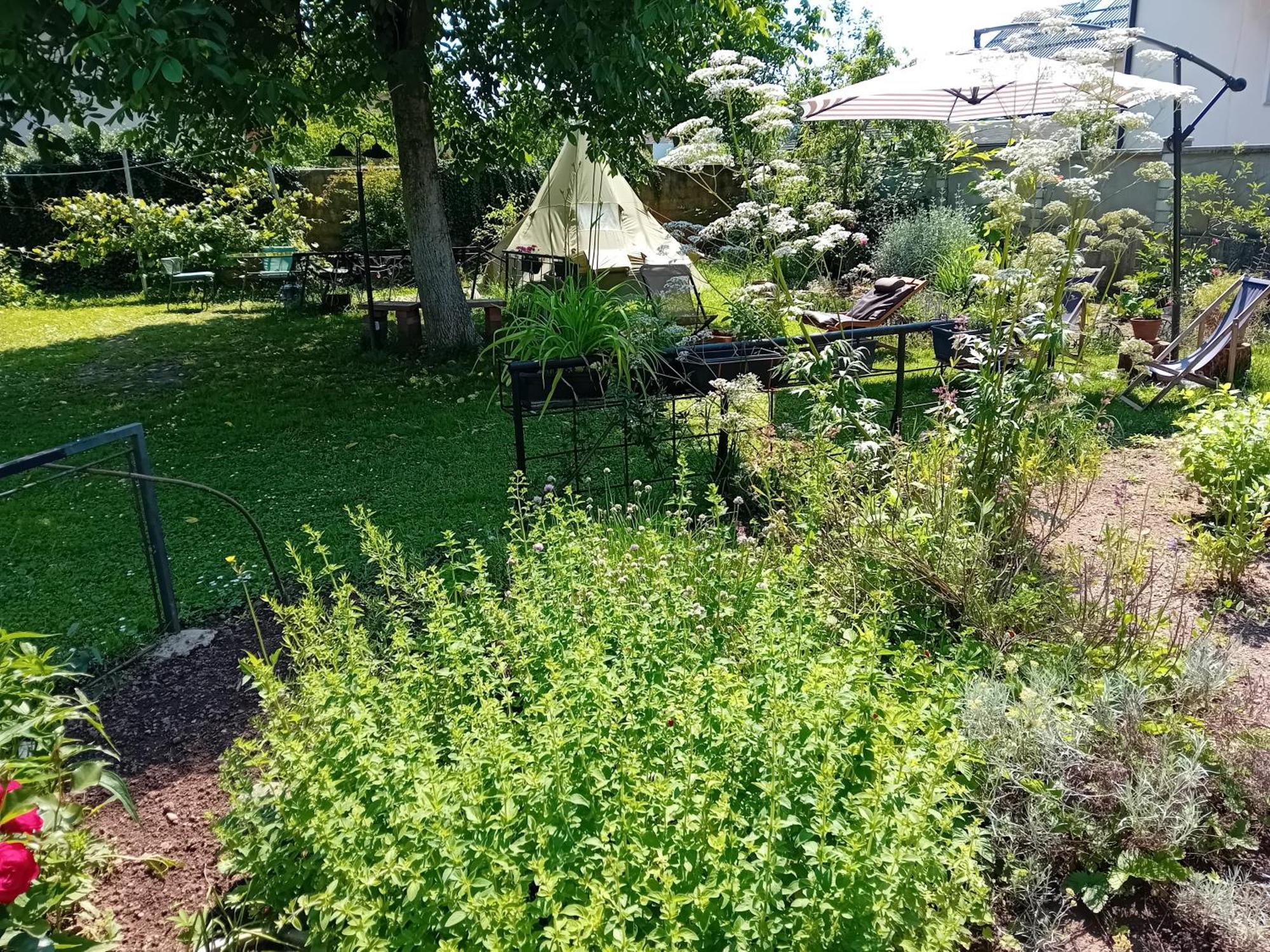 Indian Tent Tipi In Shared Lot And Shared Bathroom Mrse المظهر الخارجي الصورة